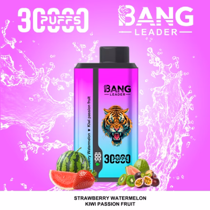 Bang Leader 30000 30K Puffs Einweg Vape 0% 2% 3% 5% Nikotin LED-Display wiederaufladbar