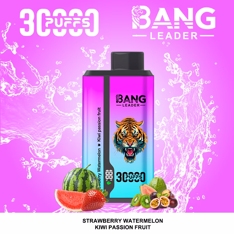 Bang Leader 30000 30K PUFS 使い捨て Vape 0% 2% 3% 5% ニコチン LED ディスプレイ充電式