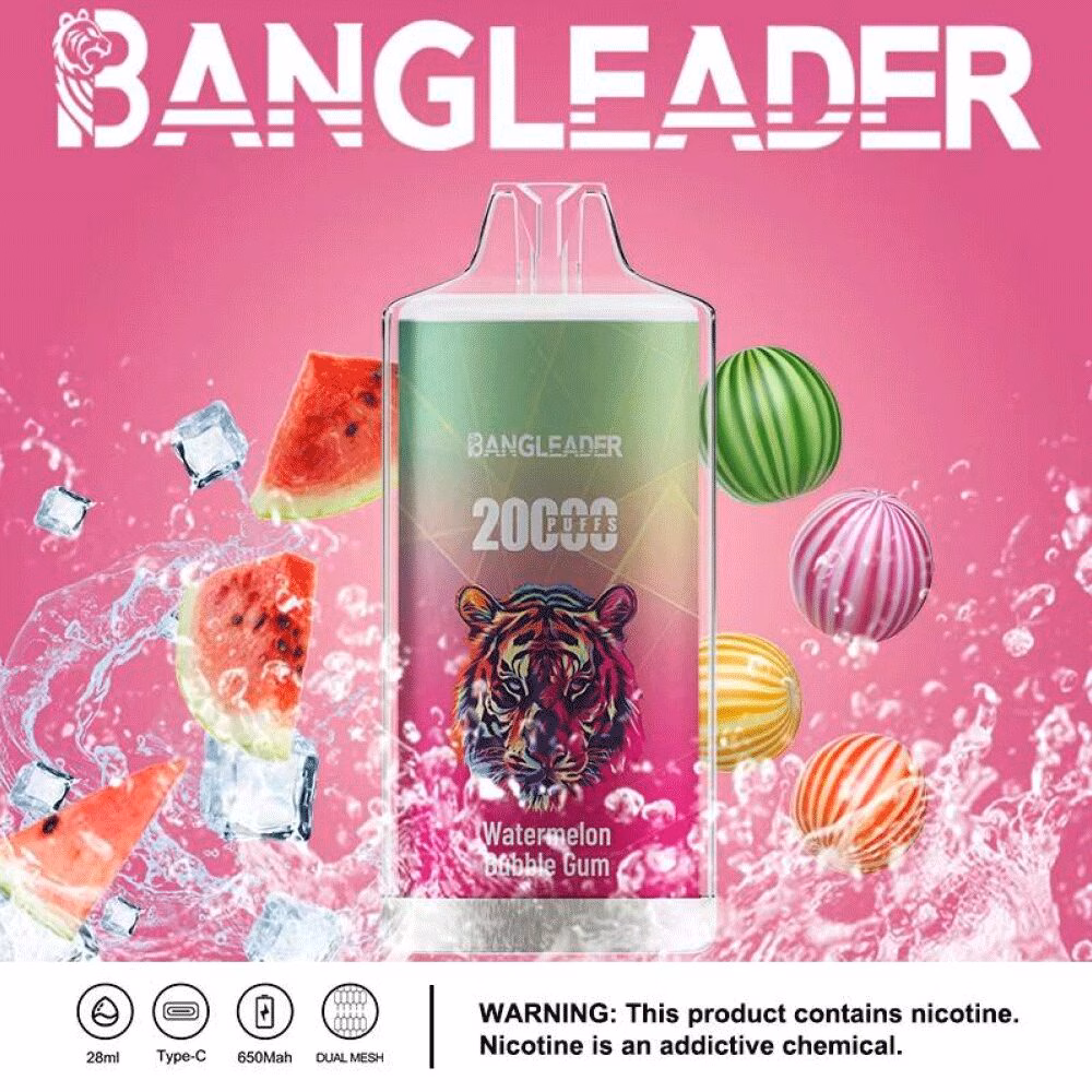 Bang Leader 20000 パフ 使い捨て vape スイカ 泡ガム